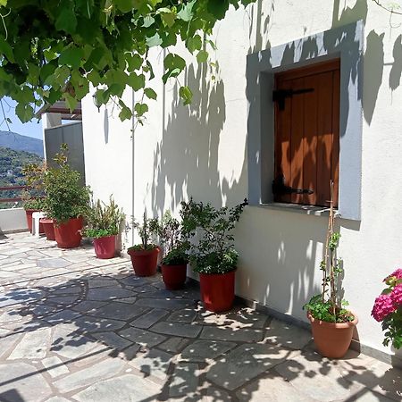 Guesthouse Kallisti Ανήλιο Πηλίου Εξωτερικό φωτογραφία