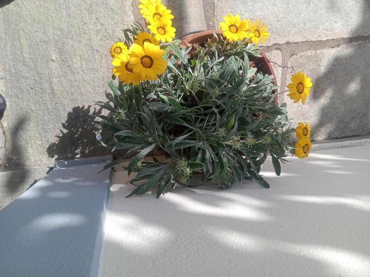 Guesthouse Kallisti Ανήλιο Πηλίου Εξωτερικό φωτογραφία