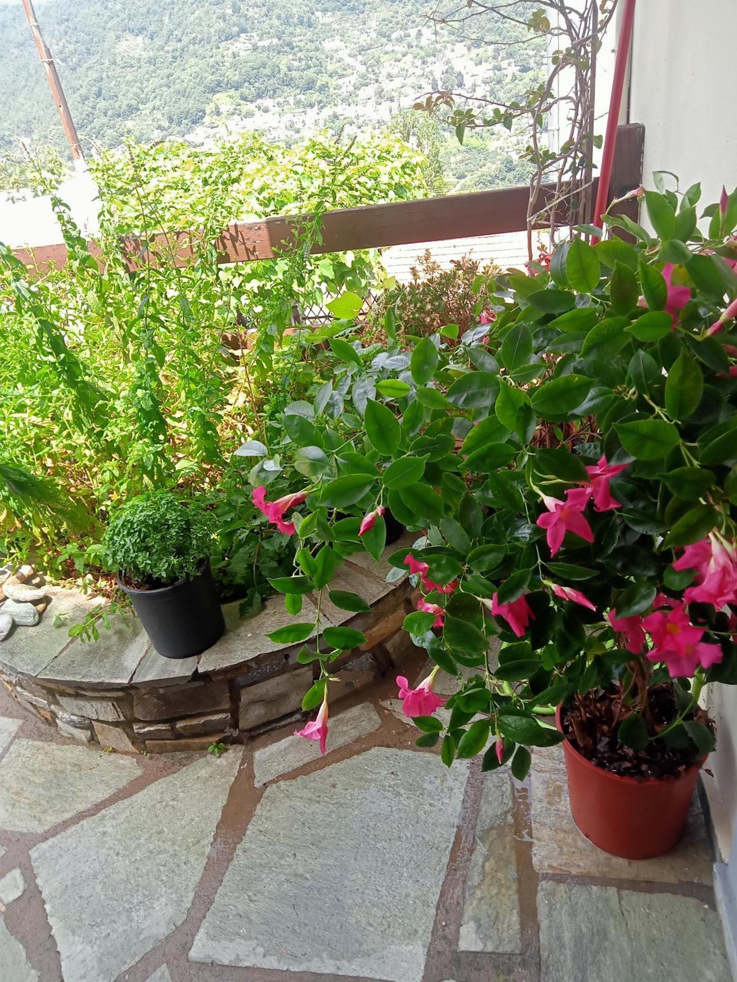 Guesthouse Kallisti Ανήλιο Πηλίου Εξωτερικό φωτογραφία