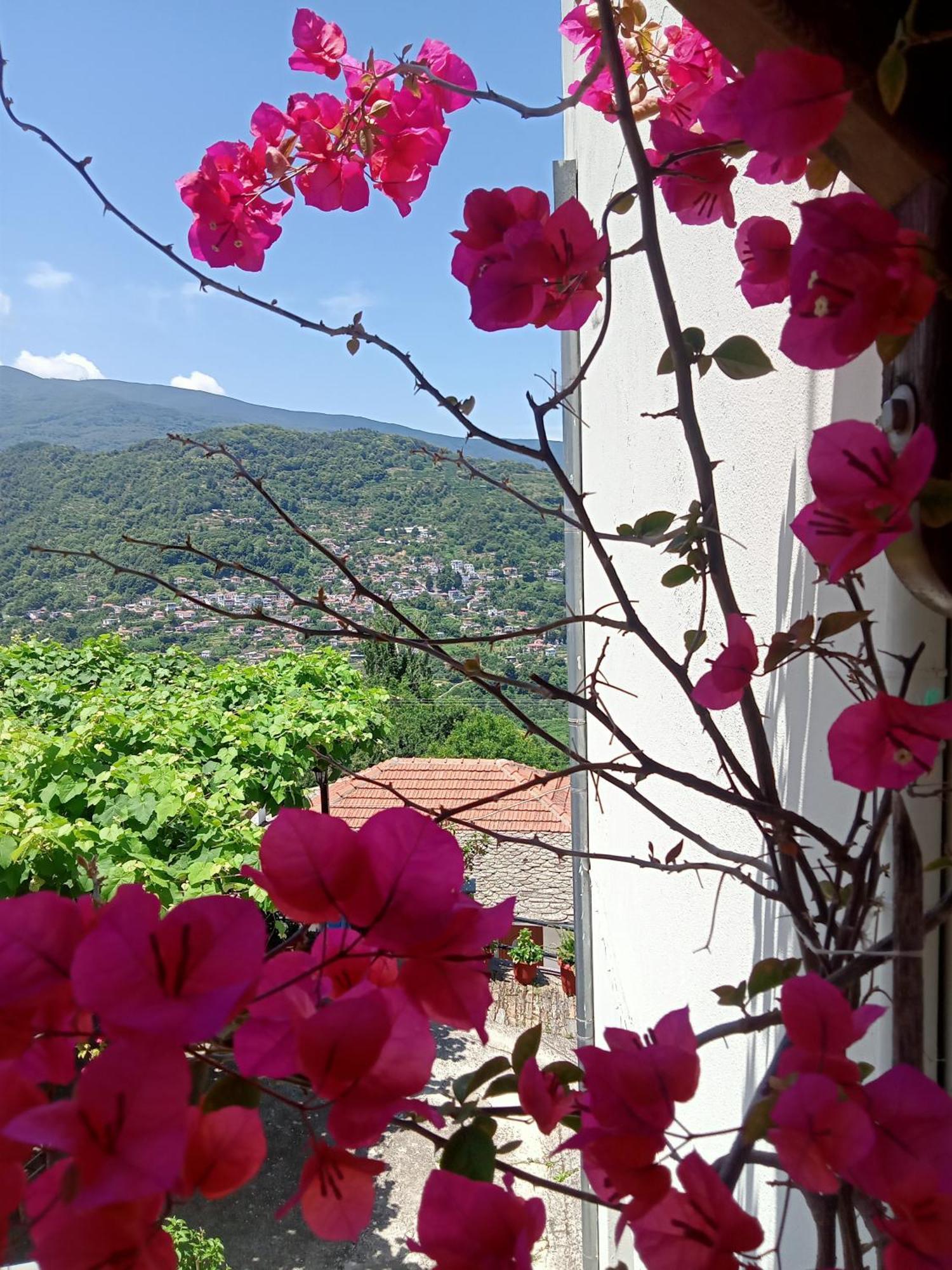 Guesthouse Kallisti Ανήλιο Πηλίου Εξωτερικό φωτογραφία