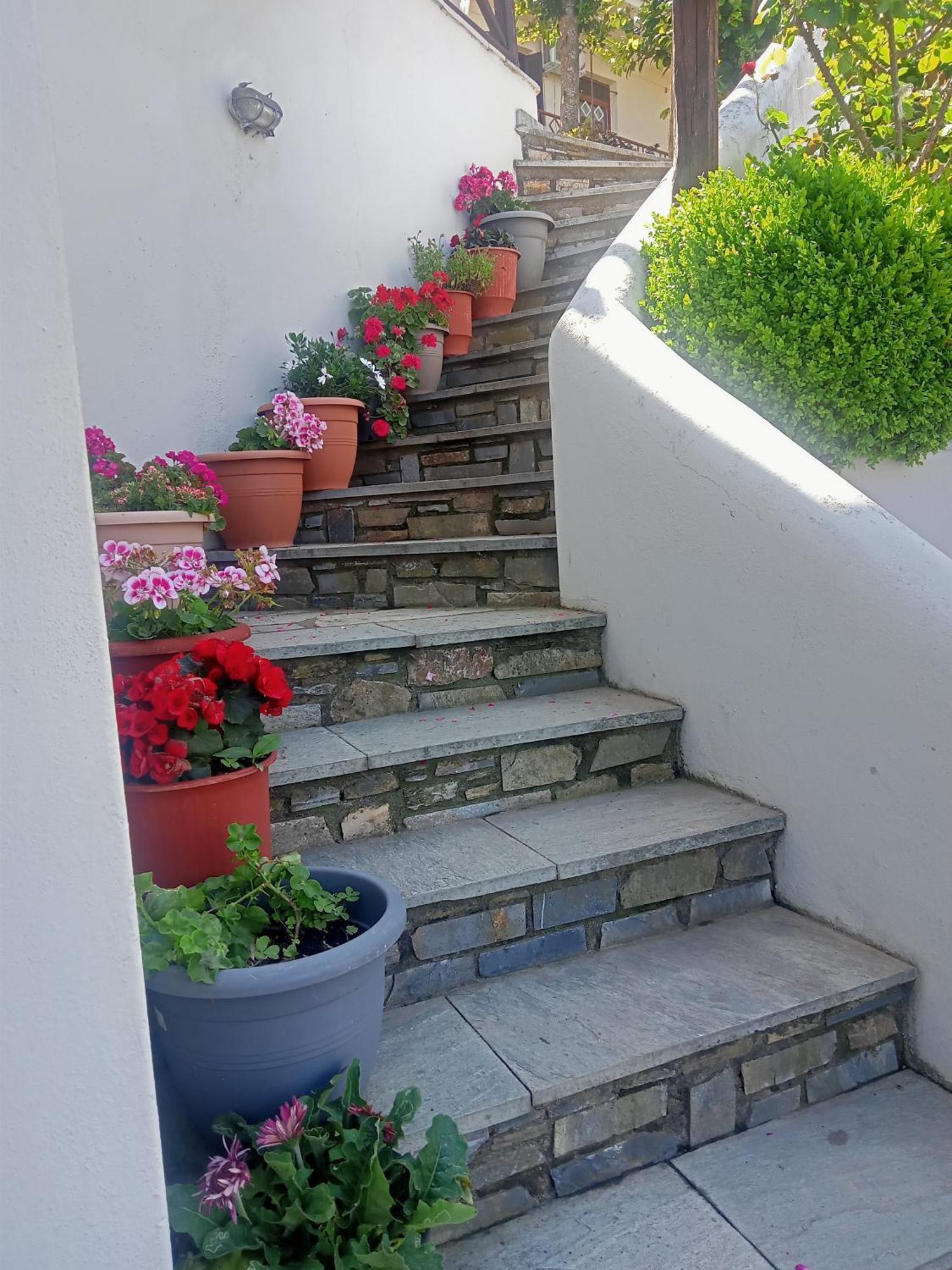 Guesthouse Kallisti Ανήλιο Πηλίου Εξωτερικό φωτογραφία