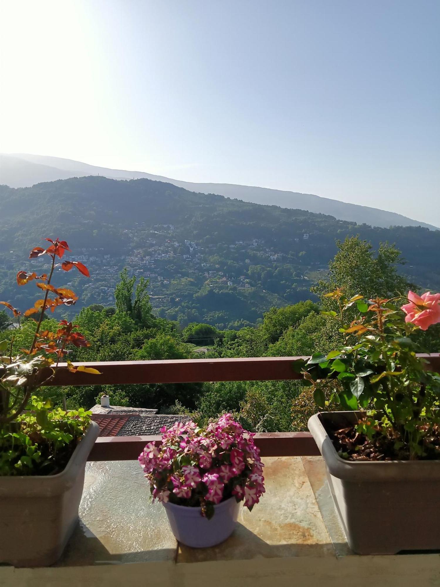 Guesthouse Kallisti Ανήλιο Πηλίου Εξωτερικό φωτογραφία