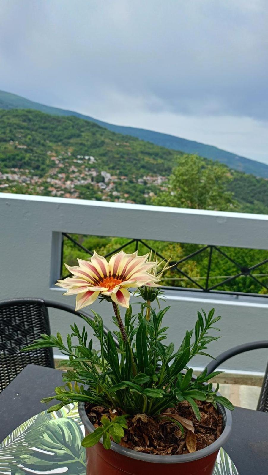 Guesthouse Kallisti Ανήλιο Πηλίου Εξωτερικό φωτογραφία